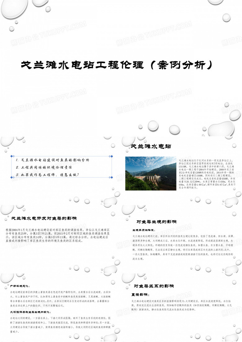 戈兰滩水电站工程伦理(案例分析)