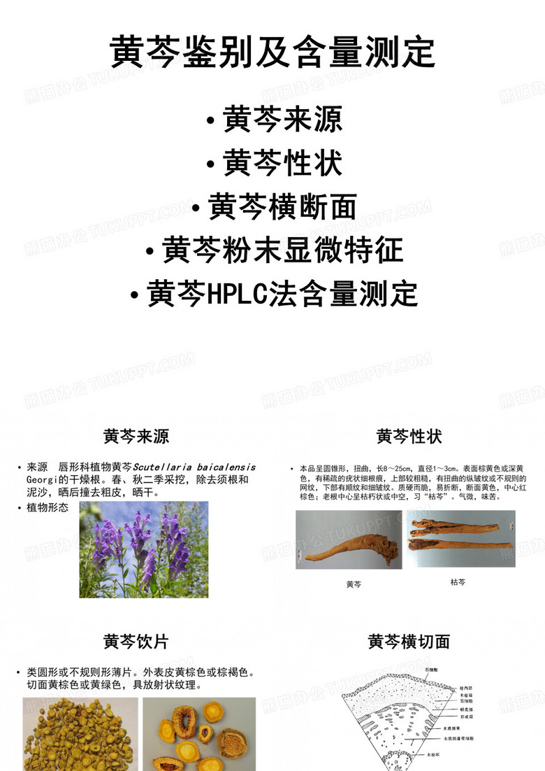 黄芩鉴别及含量测定