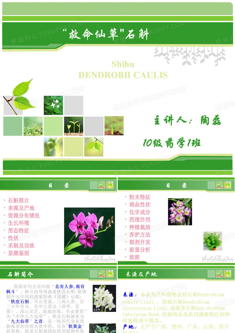 石斛