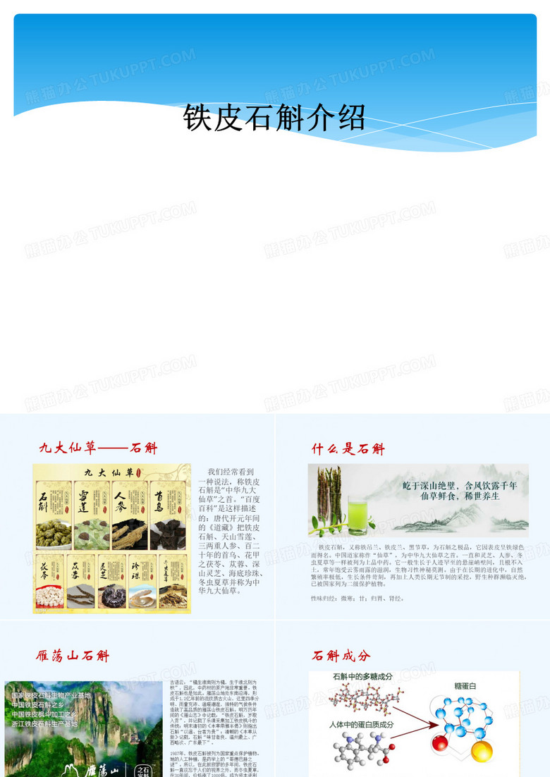 铁皮石斛介绍