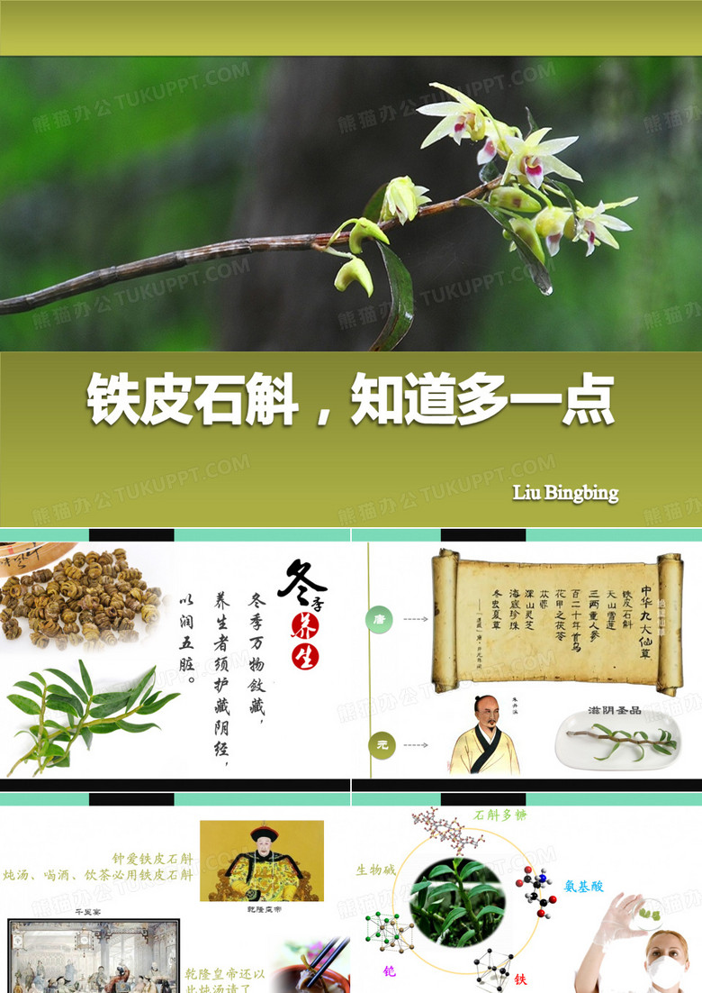 铁皮石斛8