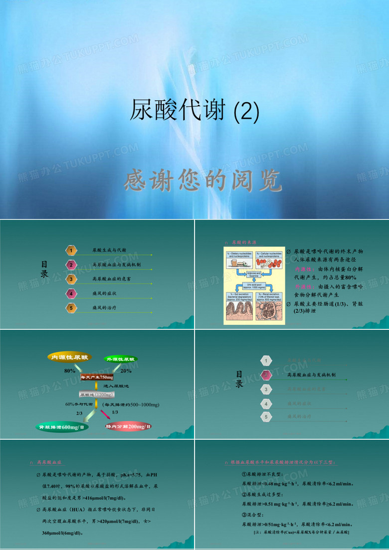 尿酸代谢 (2)