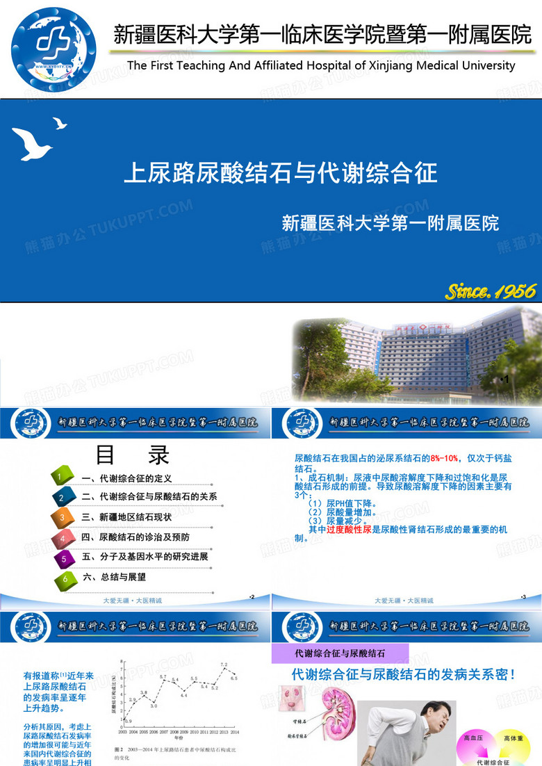 尿酸结石PPT课件