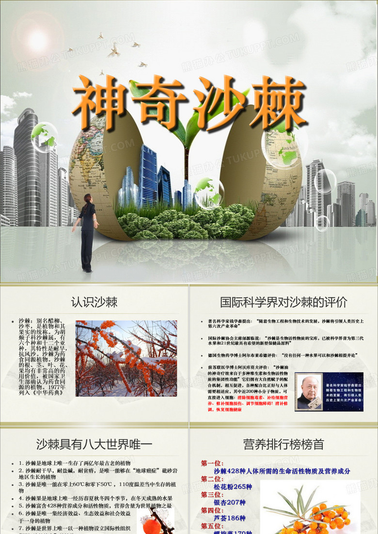 沙棘介绍-徐龙罡