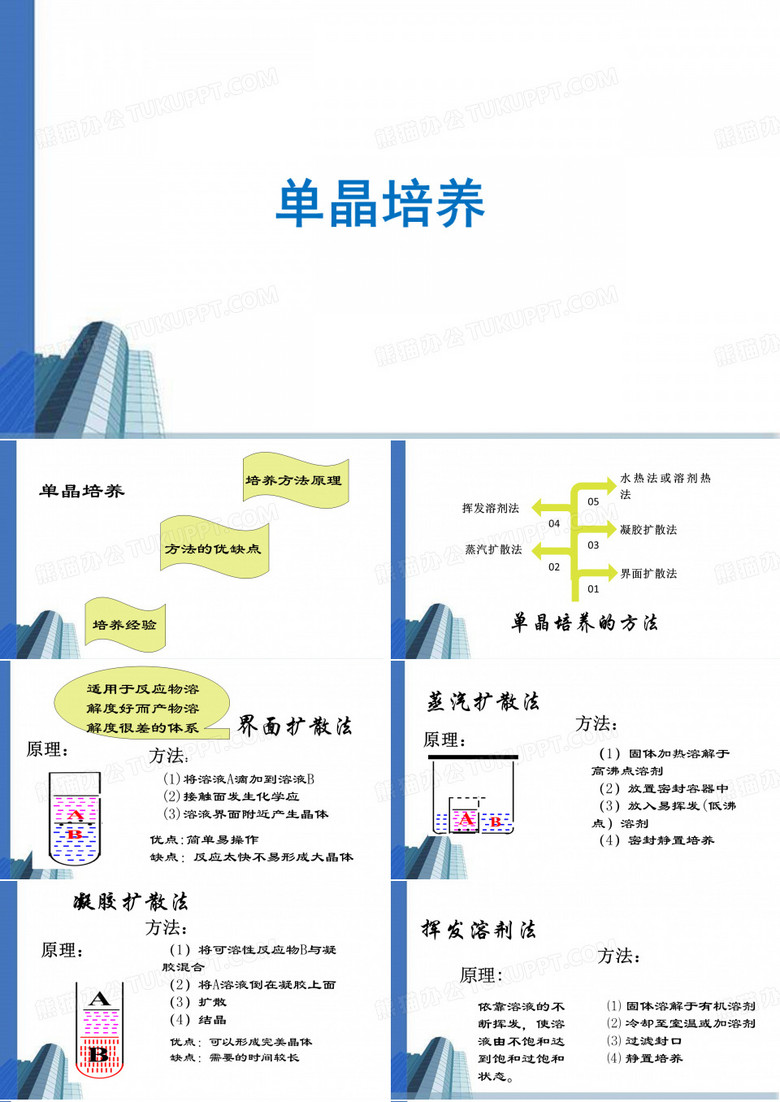 单晶培养ppt