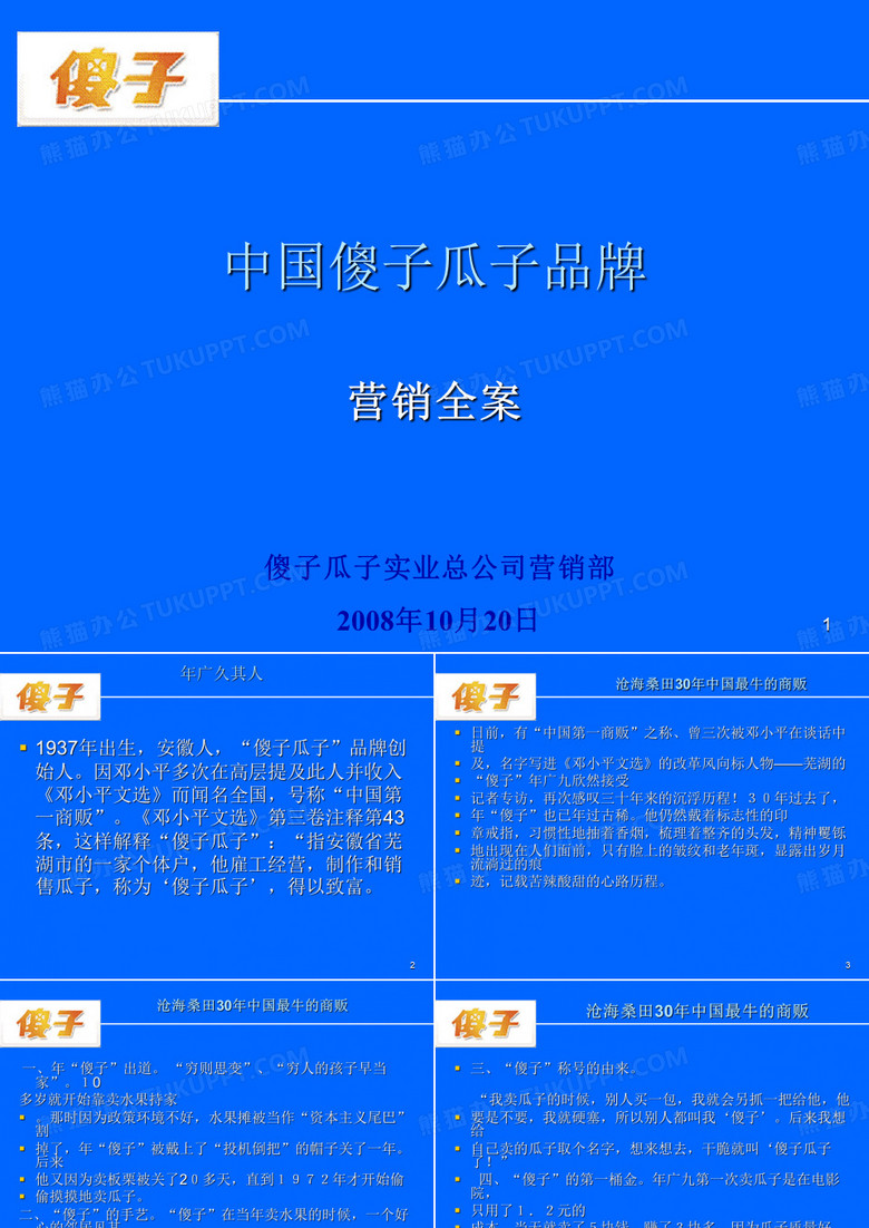 傻子瓜子全案