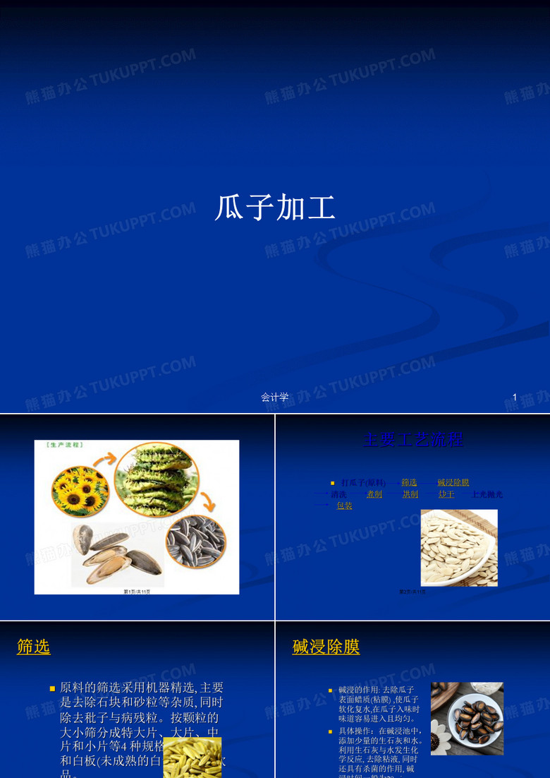 瓜子加工PPT学习教案