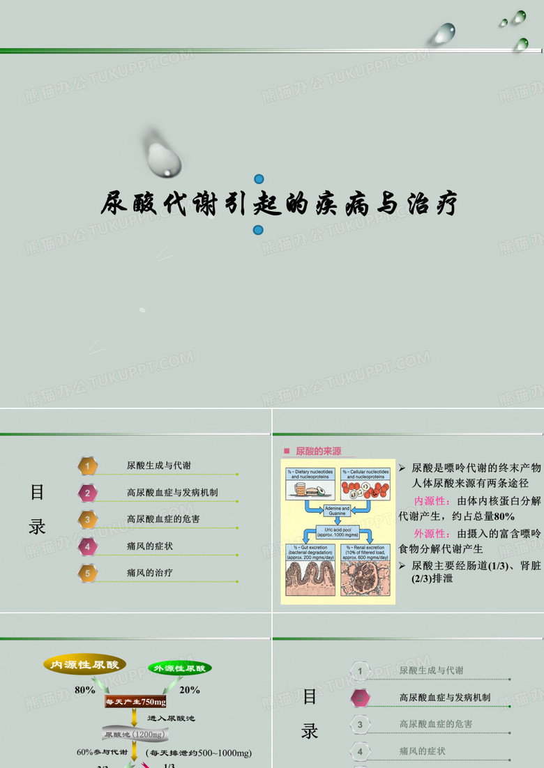 尿酸代谢11
