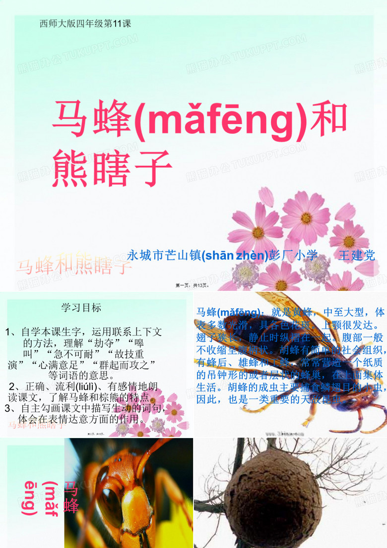 最新西师大版11课 马蜂和熊瞎子精品课件