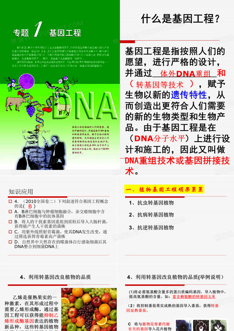 高中生物选修三课件
