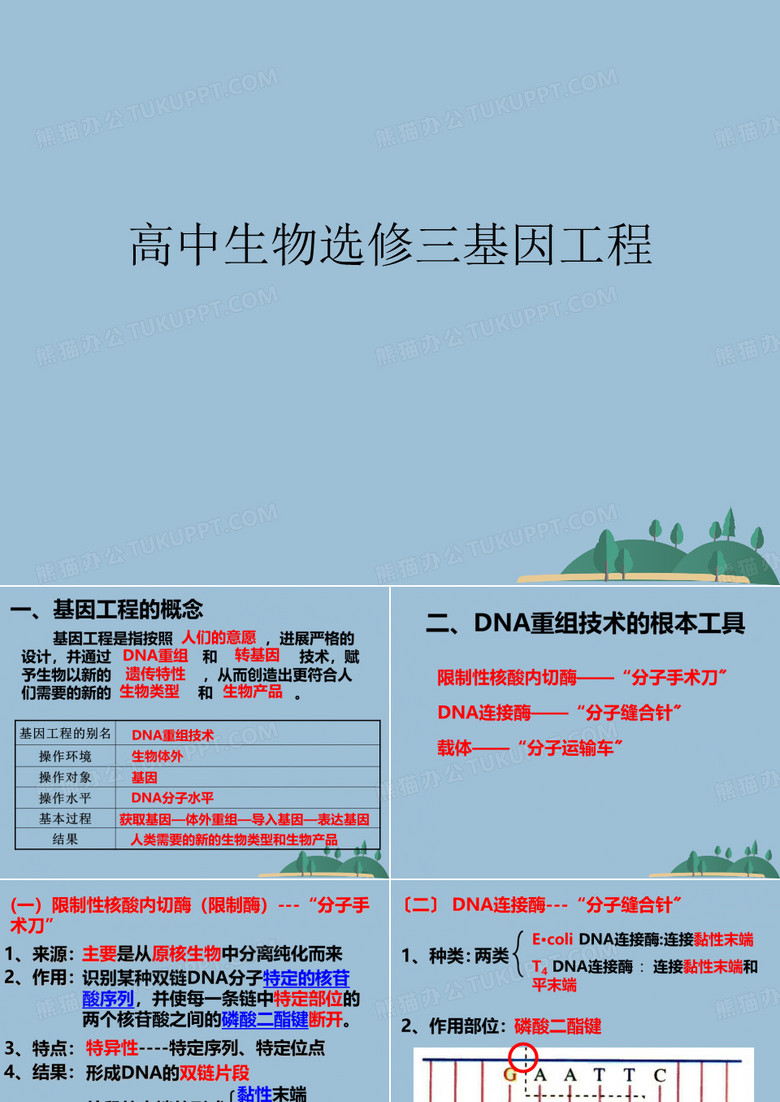 高中生物选修三基因工程