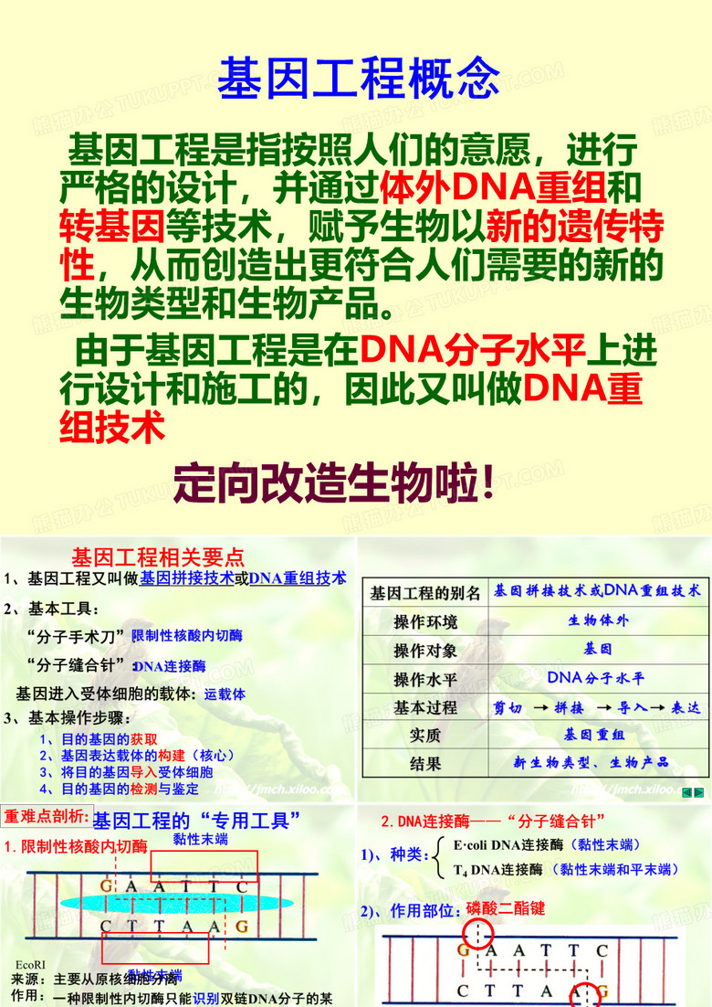高中生物选修三专题复习