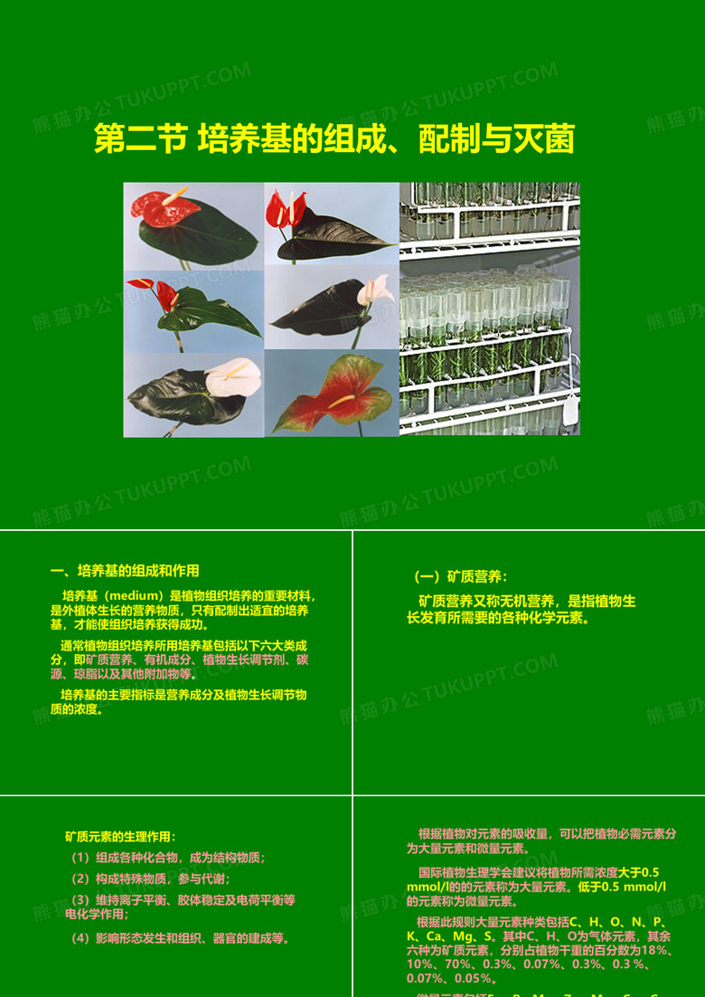 培养基的组成