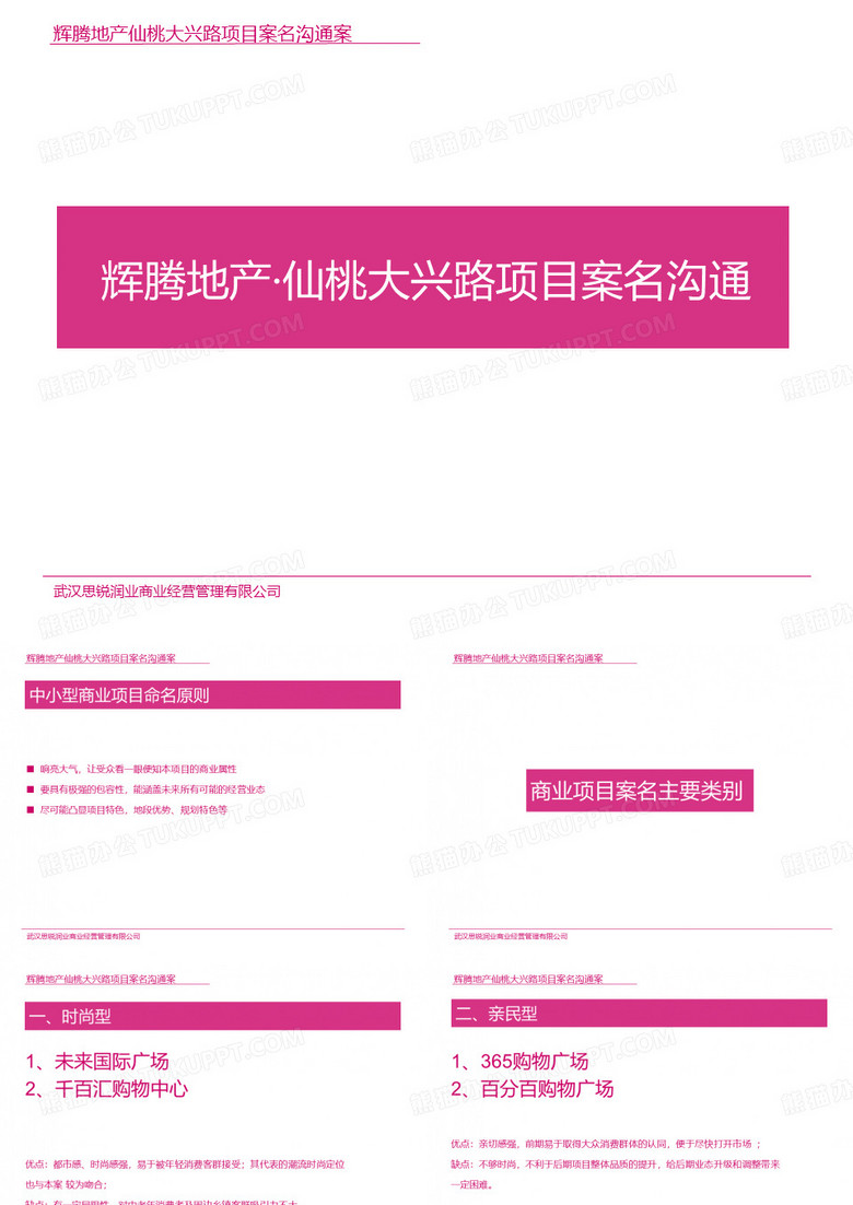仙桃大兴路项目案名
