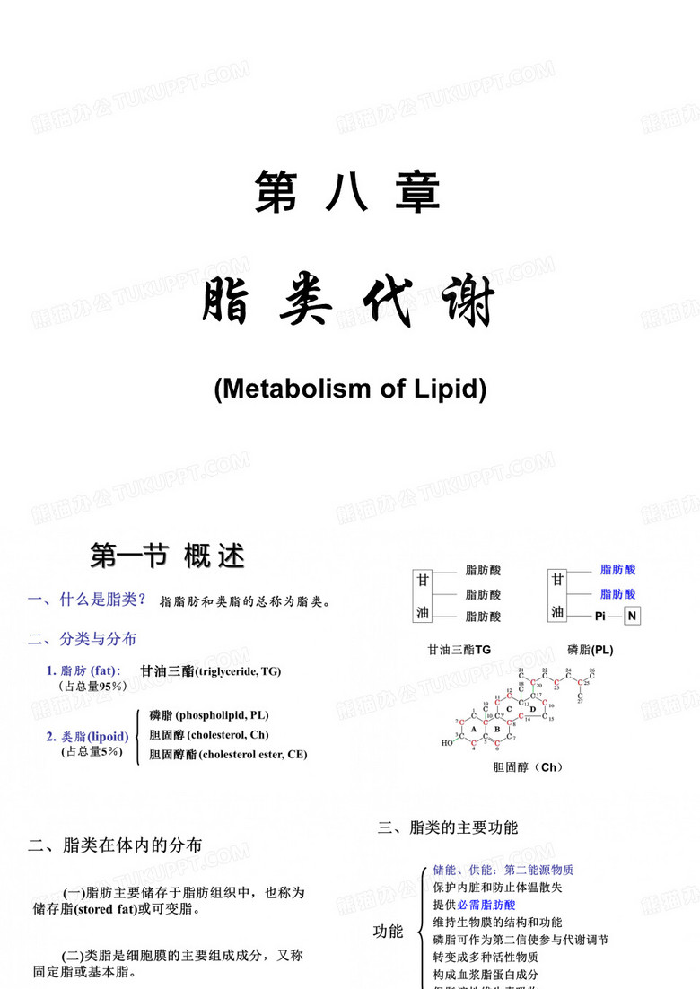 脂代谢