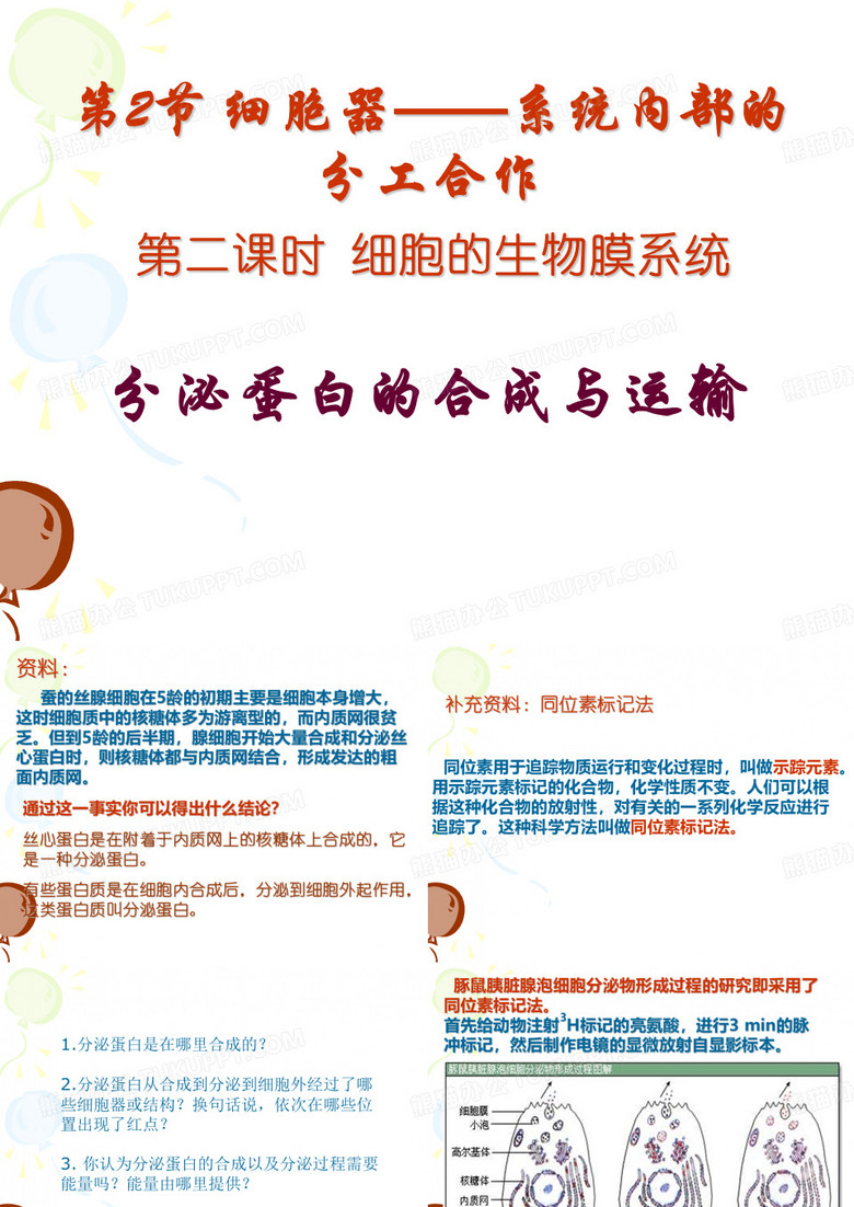 孙小小小小小小桐分泌蛋白的合成与运输教学设计