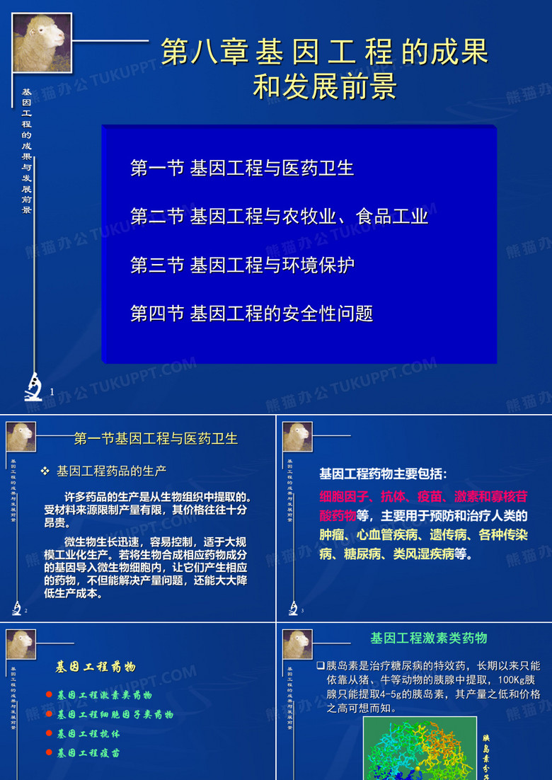 基因工程应用