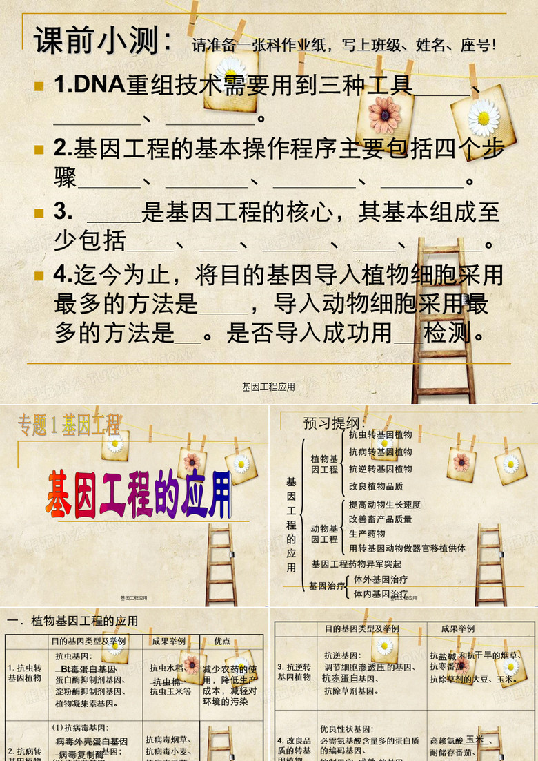 基因工程应用
