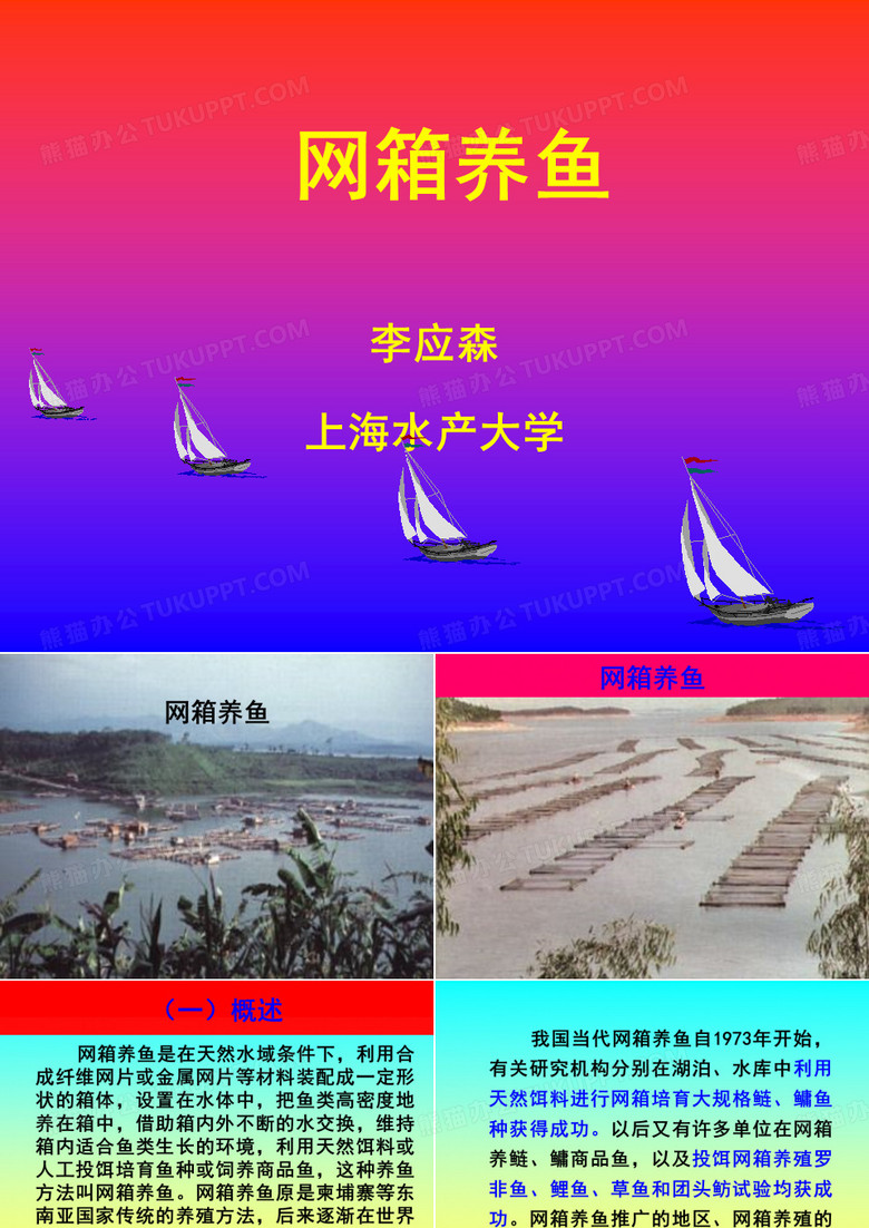 网箱养鱼
