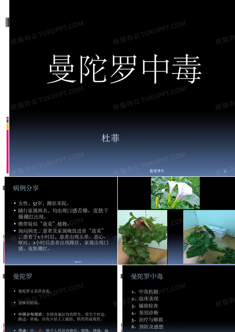 曼陀罗中毒