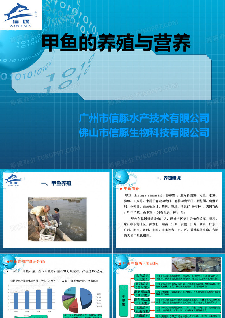 甲鱼的养殖与营养