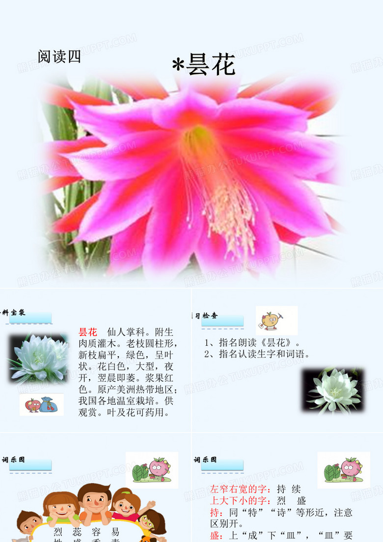 昙花PPT课件