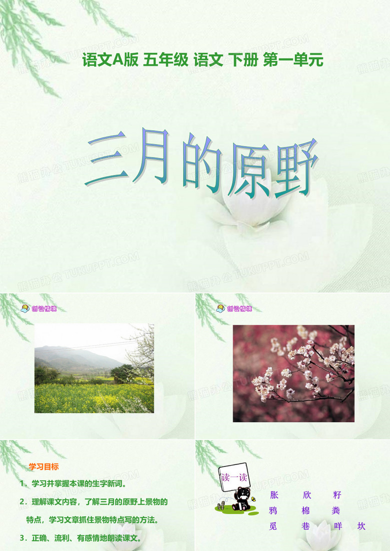 三月的原野 课件