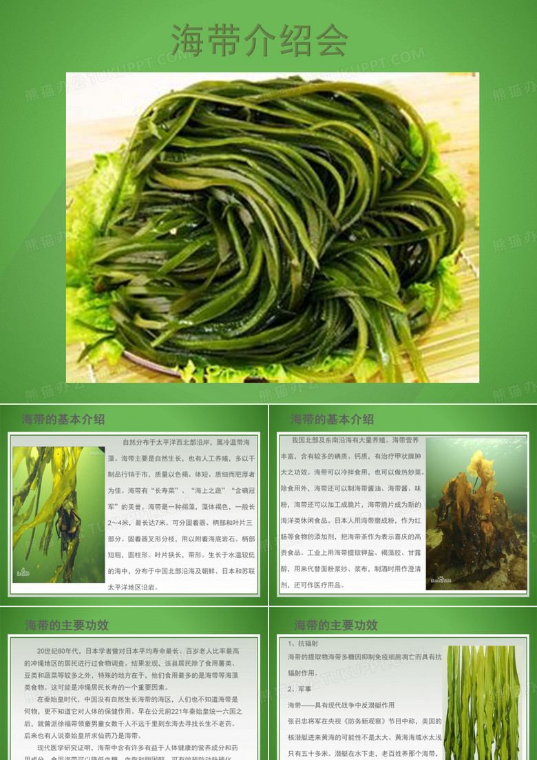 海带的功效与作用