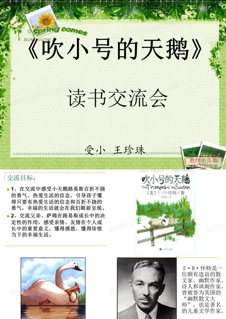 吹小号的天鹅