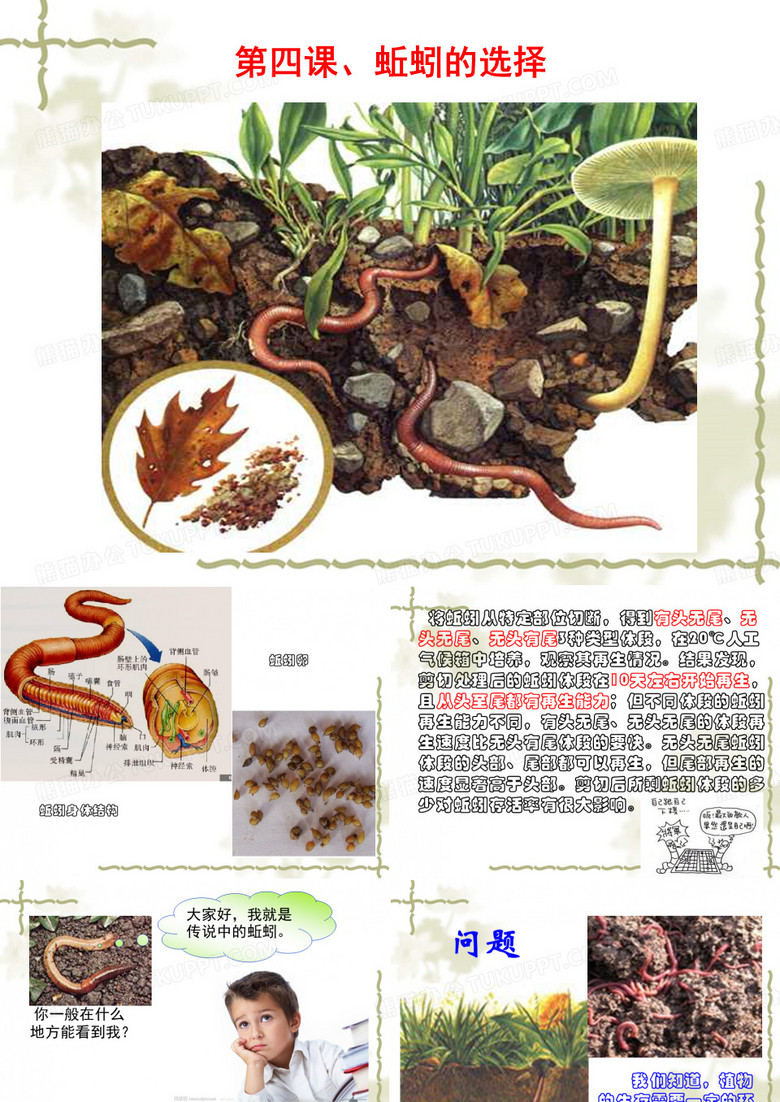 科学五上《蚯蚓的选择》