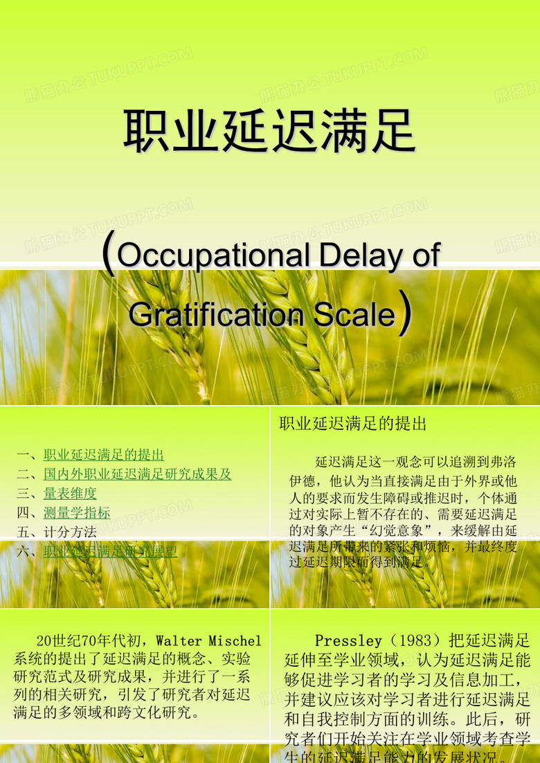 职业延迟满足