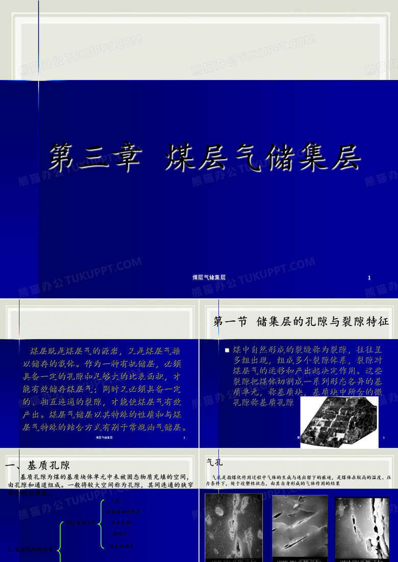 煤层气储集层