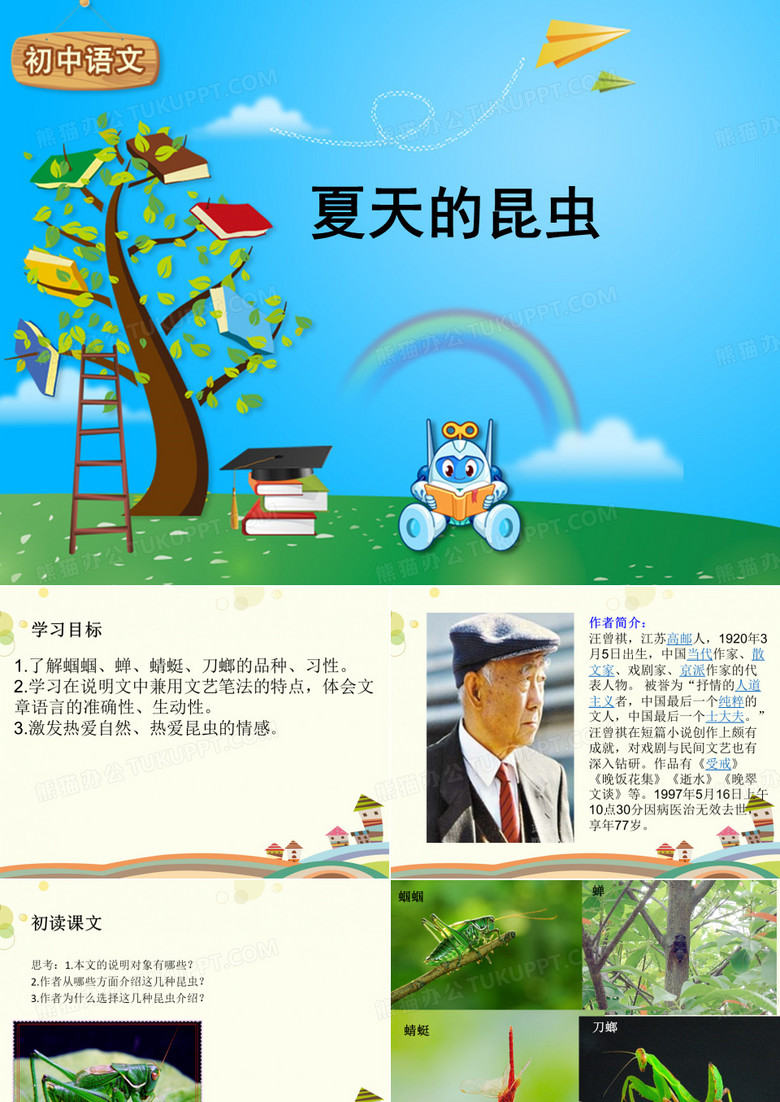 《夏天的昆虫》 完整版PPT课件