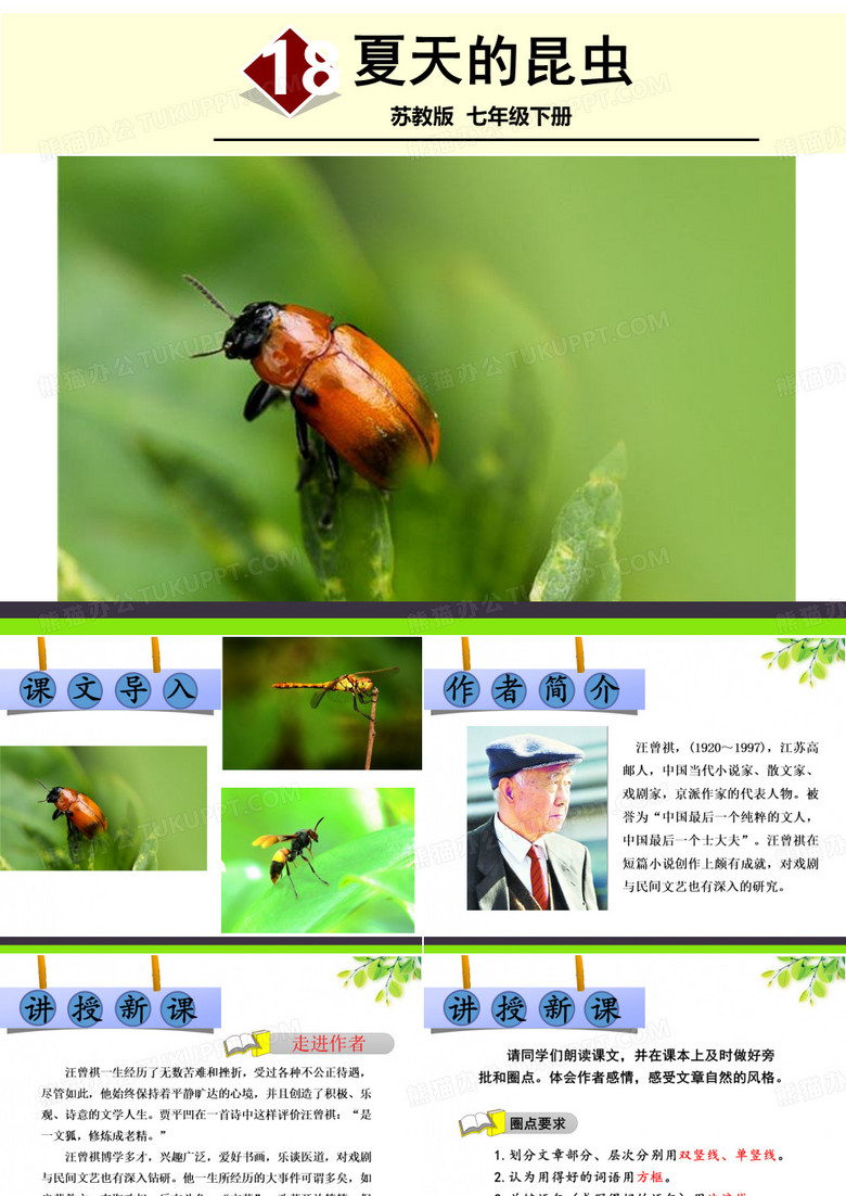 5648.苏教版初中语文18 夏天的昆虫 课件