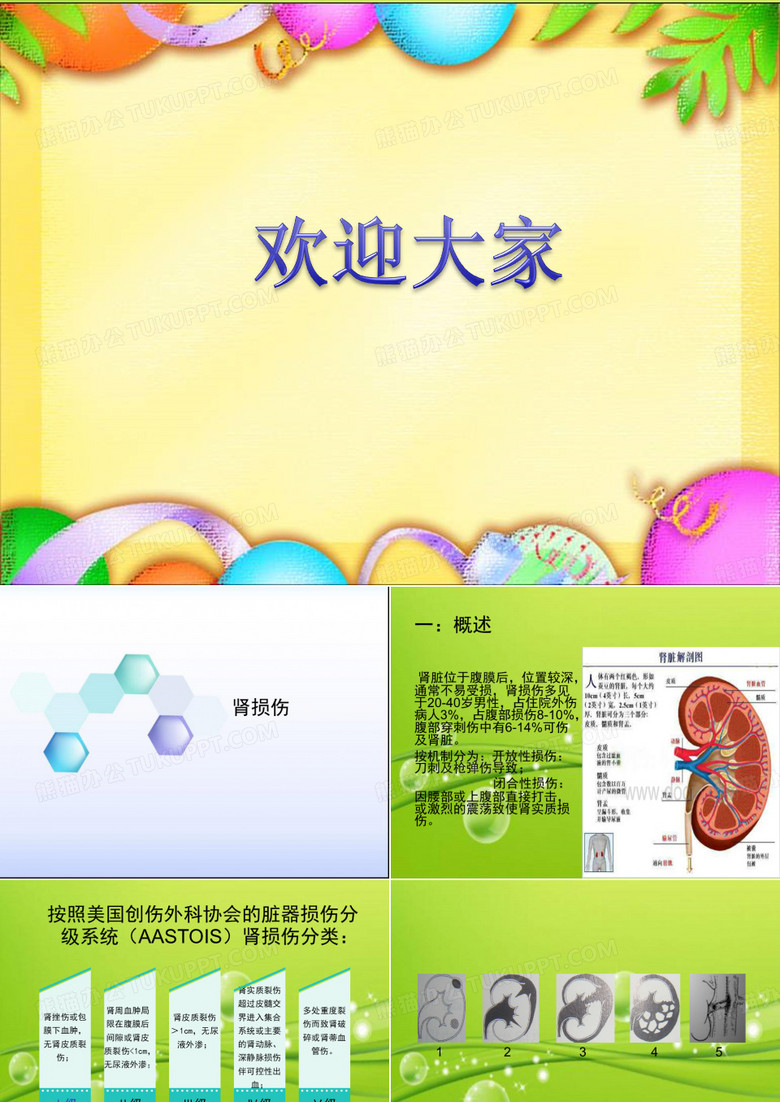 肾损伤 PPT