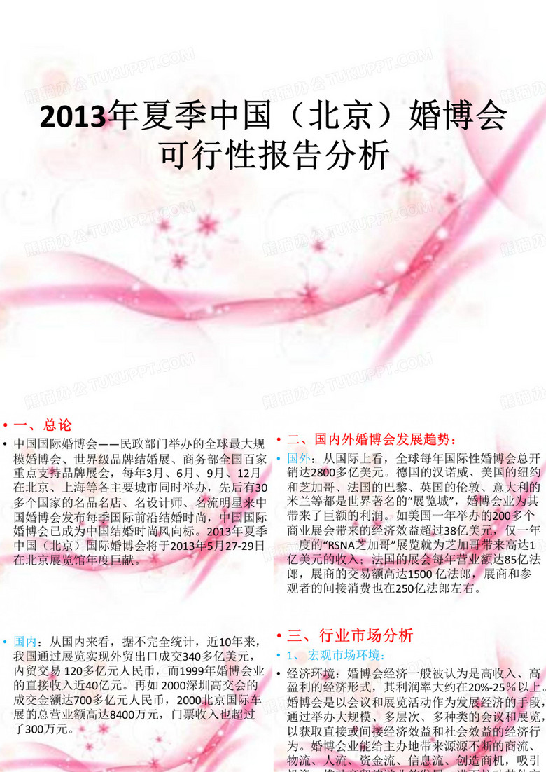 婚博会可行性报告