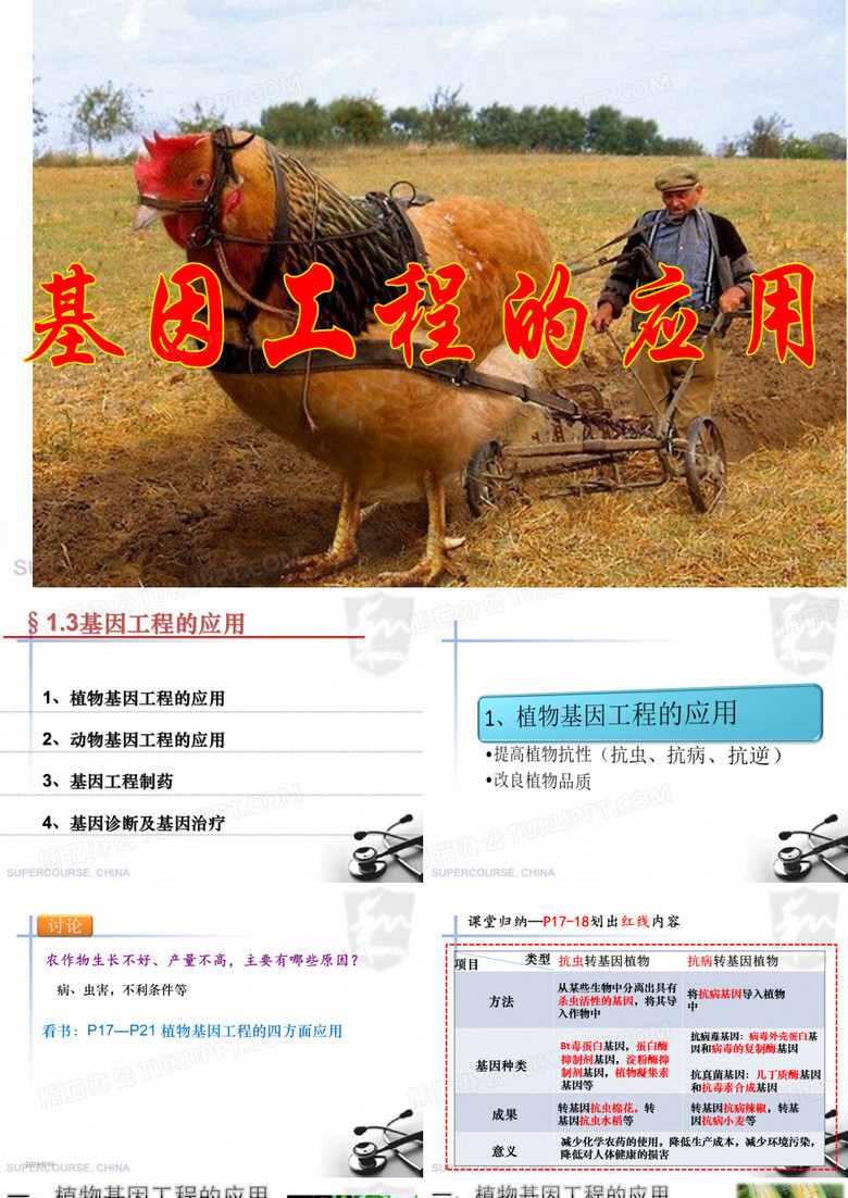 基因工程的应用