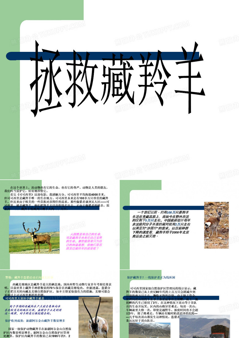 藏羚羊的保护