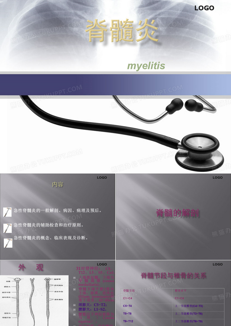 脊髓炎