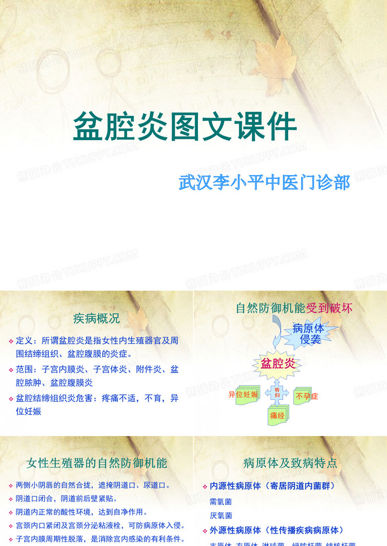 盆腔炎图文课件