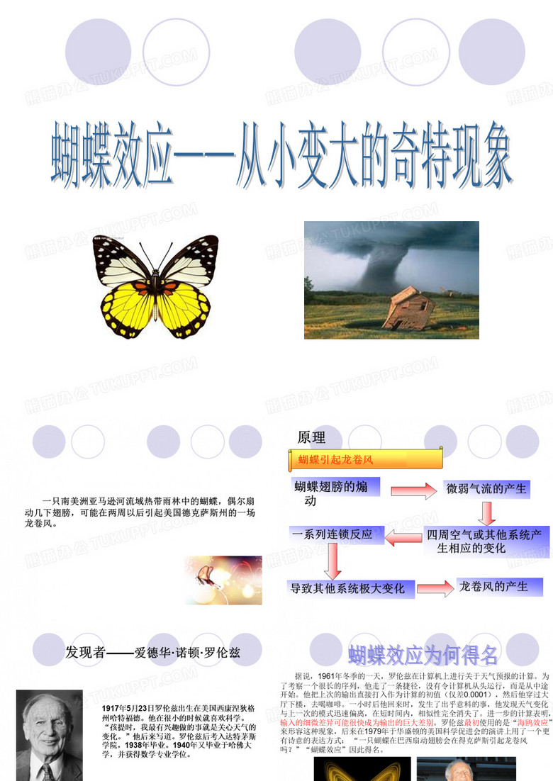 蝴蝶效应