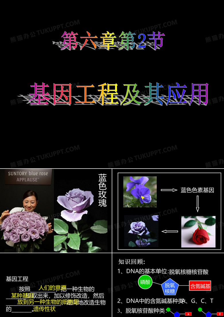 基因工程及其应用