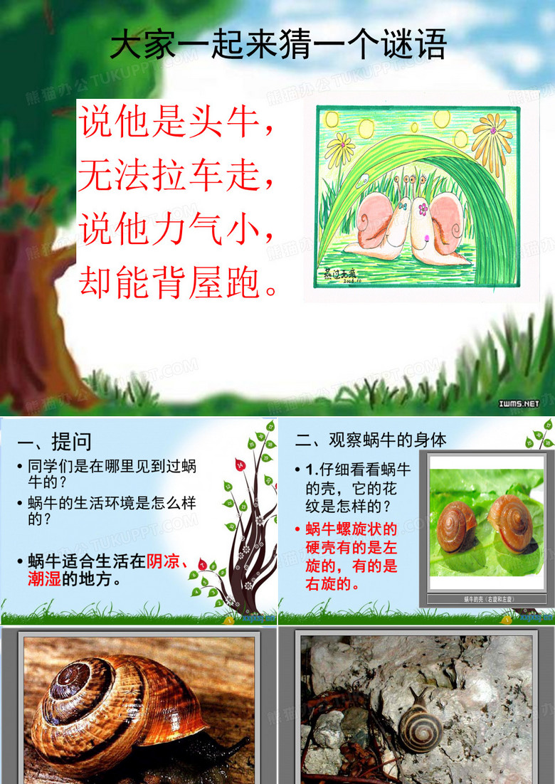 小学三年级上册科学蜗牛(一)