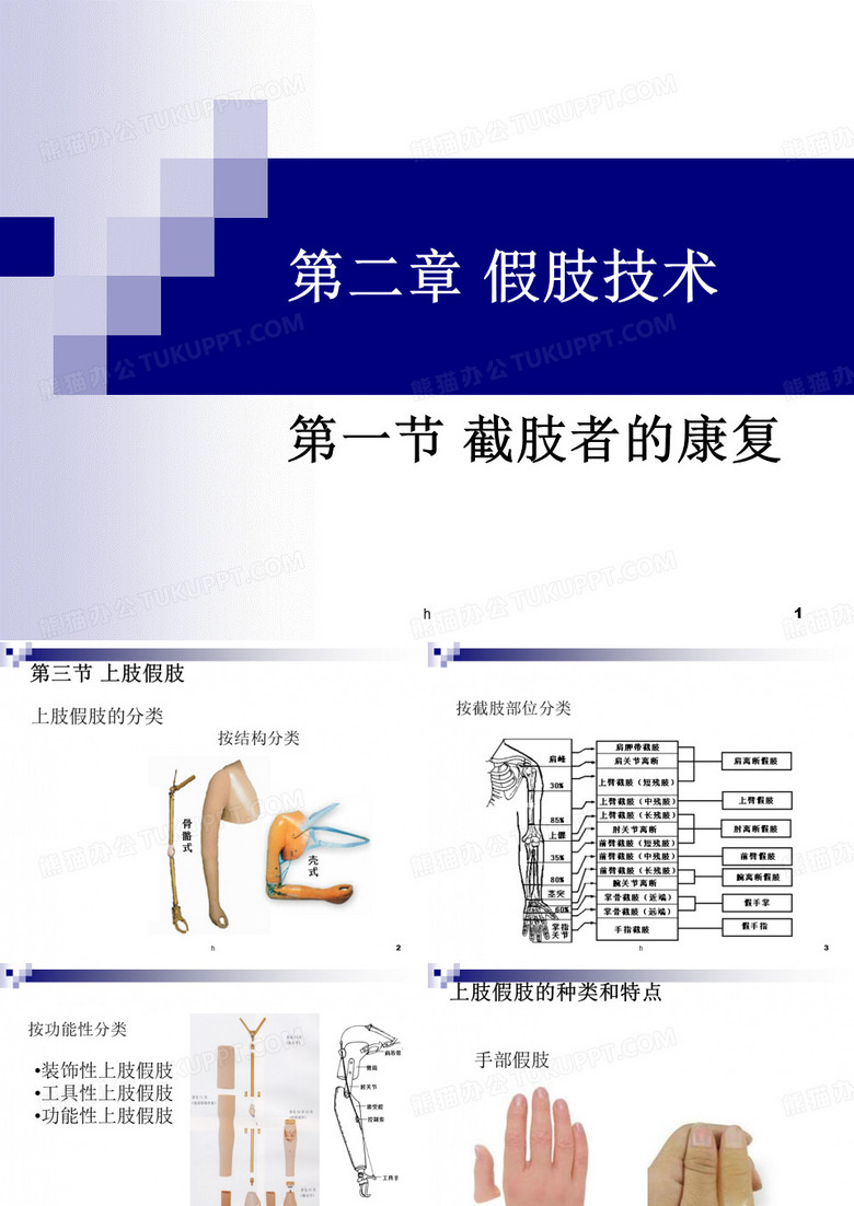 假肢技术第三节上肢假肢