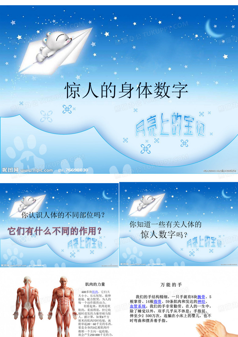 惊人的身体数字PPT优秀课件