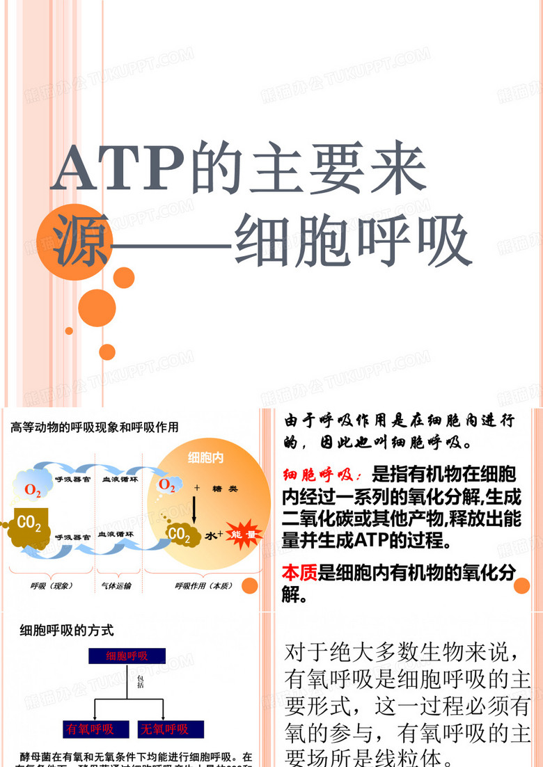 ATP的主要来源—细胞呼吸