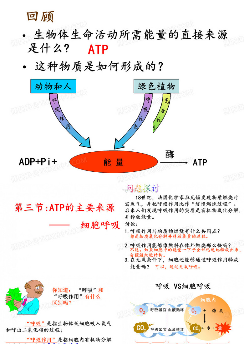 ATP的主要来源——细胞呼吸