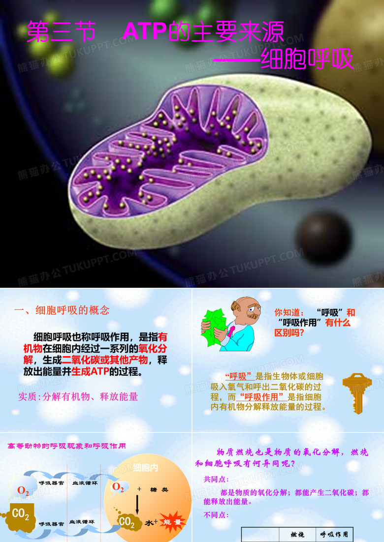 3ATP的主要来源细胞呼吸