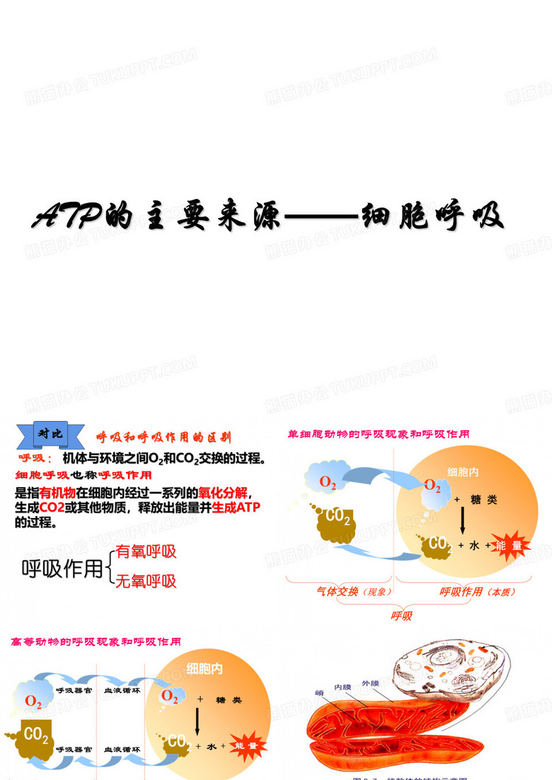 ATP的主要来源-细胞呼吸 课件