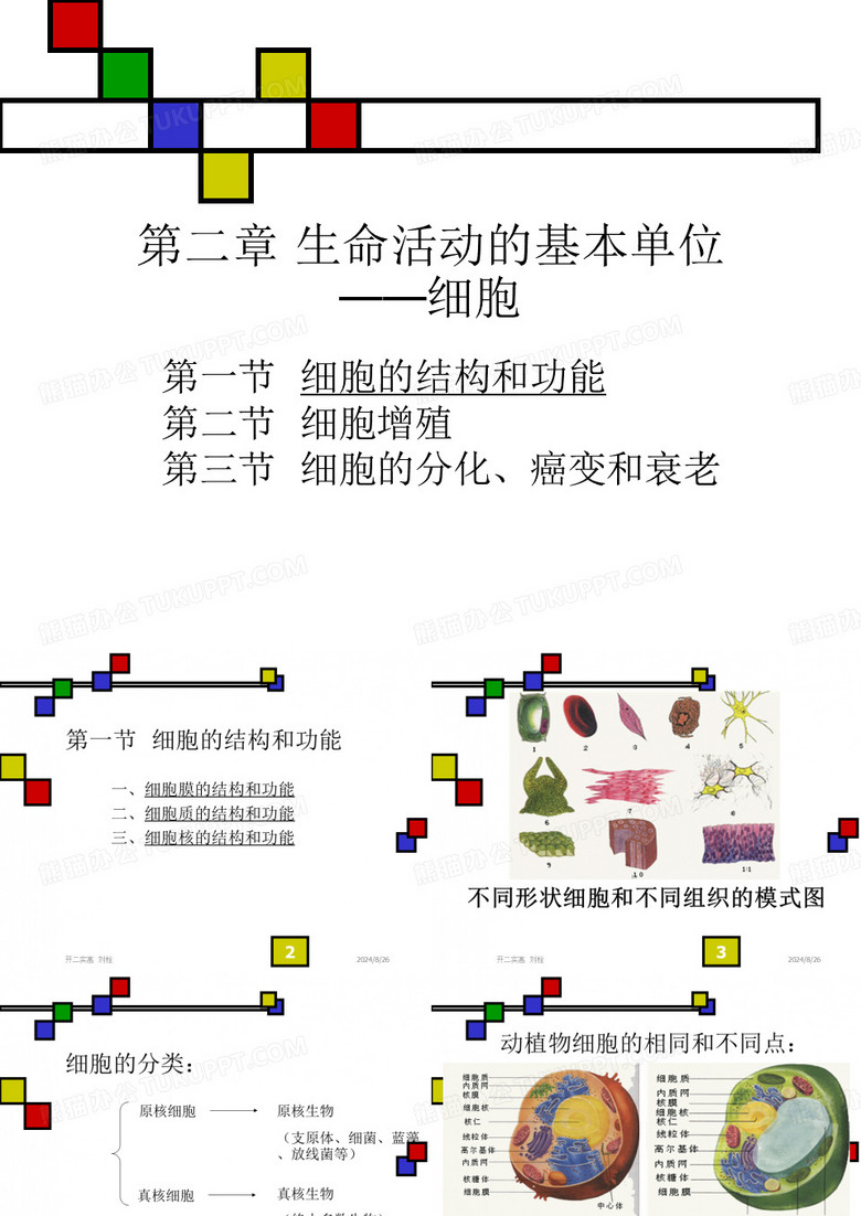 生命活动的基本单位——细胞